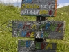 JBA_IMG_4241