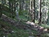 Pfad_IMG_4219