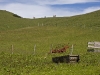 Rot_IMG_4242