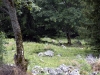 Mankei_4089