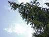 Vogel_IMG_4048