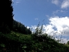 Wiese_IMG_4067