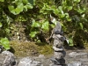 Steinmandal_4156