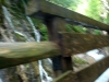 C_DSC04718