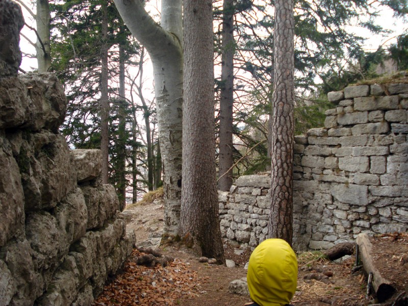 Hohenwaldeck_DSC04370